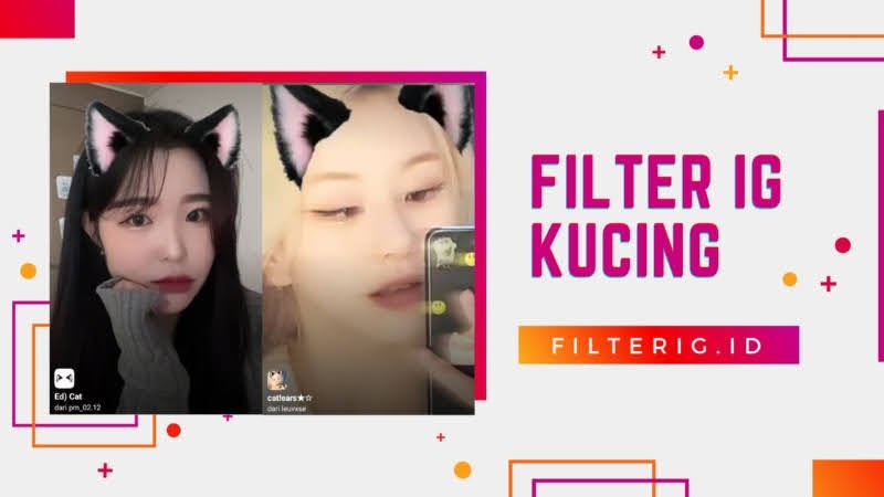You are currently viewing Nama Filter IG Kucing Terbaik dan Cara Mendapatkanya